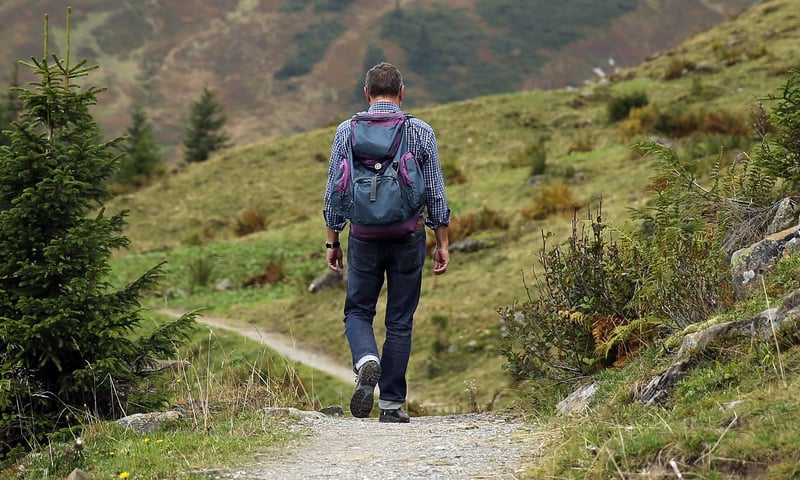 Mindful Hiking